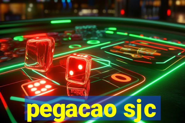 pegacao sjc